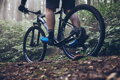 SHIMANO  Buty SHXC502 niebieskie
