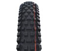 SCHWALBE Opona ALBERT TRAIL PRO (63-622) 29x2.50