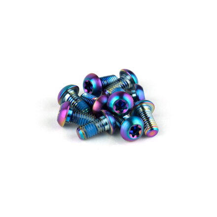 SRAM Brake Disc Mounting Bolts - Titanium T25, Rainbow Bolts (Qty 12)